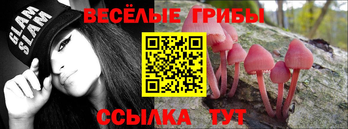 Галлюциногенные грибы Cubensis  Вход с VPN  Лянтор  Псилоцибиновые грибы мухоморы 