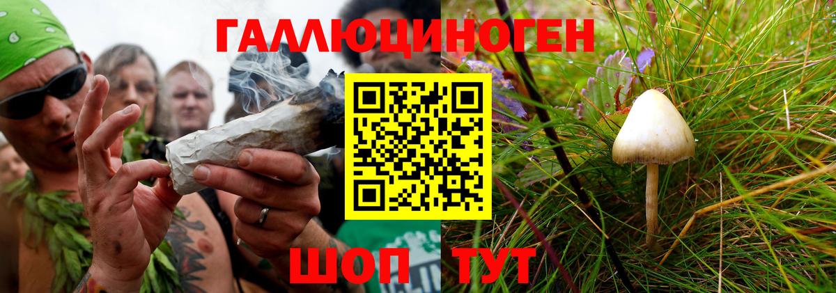 Псилоцибиновые грибы Cubensis Лянтор